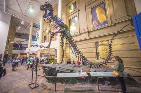 Denver museum nature science - 